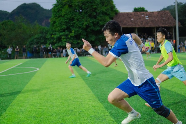 成为全明星 成为全明星