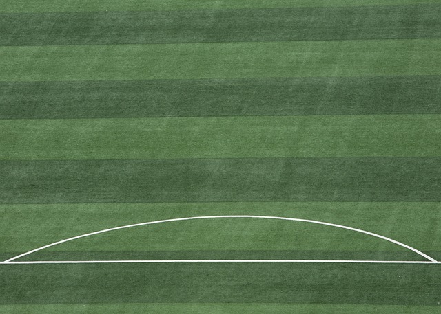 卡塔尔的 卡塔尔的