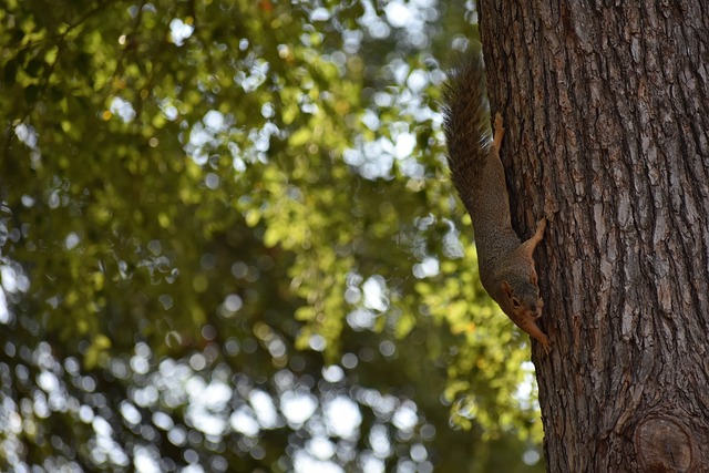 是通过有计 是通过有计