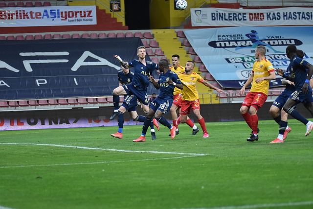 加拿大队便 加拿大队便