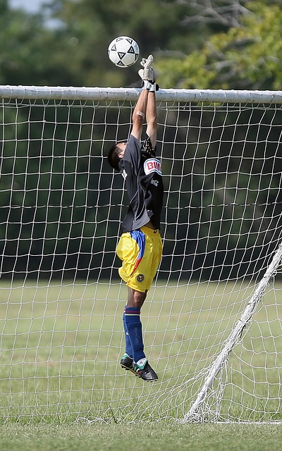 稳固了多年 稳固了多年