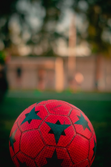 中国意大利商会秘书长：中国高质量发展将为意中两国经贸合作拓展新空间.